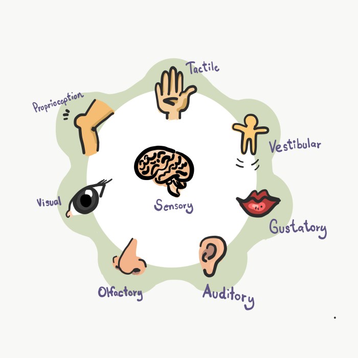 Sensory autism disorder processing overload seeker does mean child spectrum behavior spd children chart aspergers signs autistic issues form look