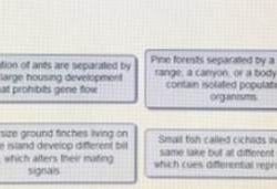 Match each scenario with the mechanism of speciation it illustrates