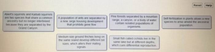 Match each scenario with the mechanism of speciation it illustrates